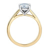 Yellow Gold Lab-Grown Diamond Solitaire Engagement Ring.