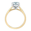 Yellow Gold Lab-Grown Diamond Solitaire Engagement Ring.