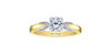 Yellow Gold Canadian Diamond Engagement Ring.