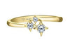 Yellow Gold Canadian Diamond Ring.