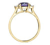 Yellow Gold Amethyst, Canadian Diamond Ring.