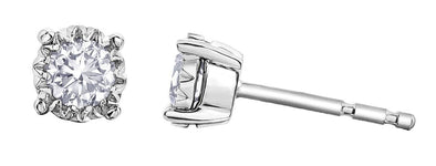 White Gold Diamond Stud Earrings