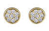 Yellow Gold Diamond Stud Earrings.