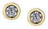 Yellow Gold Canadian Diamond Stud Earrings.