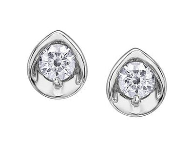 White Gold Canadian Diamond Stud Earrings