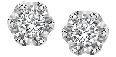 White Gold Diamond Stud Earrings