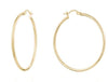 Yellow Gold Hoop Earrings.